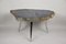 Petrified Wood Coffee Table with Stainless Steel Feet 8