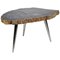 Petrified Wood Coffee Table with Stainless Steel Feet, Image 1