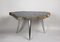 Petrified Wood Coffee Table with Stainless Steel Feet 9