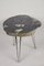 Petrified Wood Coffee Table on Stainless Steel Feet 4