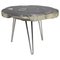 Tavolino da caffè in legno pietrificato con piedi in acciaio inossidabile, Immagine 1