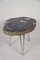 Petrified Wood Coffee Table on Stainless Steel Feet 12
