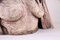 Büste aus Terrakotta von B. Vandenberghe, 20. Jh 6