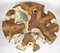 Round Teak Root Coffee Table on Stainless Steel Feet 8