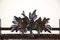 Black Forest Wall Mirror with Center Top Carving, Austria, 1890s, Image 5
