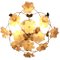 Flower Ceiling Lamp in Gold, Image 2