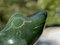 20. Jh. Geschnitzte Jade Skulptur eines Frosches in Grün, China 6