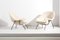 Womb Chairs and Ottoman by Eero Saarinen for Knoll, Usa, 1960s, Set of 2 2