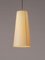 Sesísí Conical Largas Gt4 Pending Lamp by Gabriel Ordeig Cole, Image 2