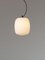 Globo Journey Pendant Lamp by Miguel Dear 3