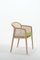 Petit Fauteuil Vienna en Hêtre Vert Acide par Colé Italia, Set de 4 4