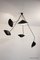 Lámpara de techo giratoria de 6 brazos en blanco y negro de Serge Mouille, Imagen 8