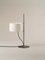 TMD Table Lamp by Miguel Dear 2