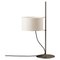 TMD Table Lamp by Miguel Dear 1