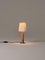 Nickel Basic Minimum Table Lamp by Santiago Roqueta, Santa & Cole 2