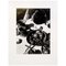 László Moholy-Nagy, Abstract Composition, Black & White Photograph, Image 5