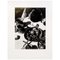László Moholy-Nagy, Abstrakte Komposition, Schwarz-Weiß-Fotografie 5