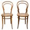 Sedie da pranzo nello stile di Thonet, anni '30, set di 2, Immagine 1