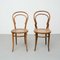 Dining Chairs in the style of Thonet, 1930s, Set of 2 3