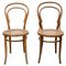 Dining Chairs in the style of Thonet, 1930s, Set of 2 14