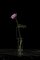 Vase Fleur Melancholia en Verre Fait à la Main par Adolfo Abejon 6