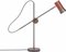 Kusk Iron Oxide Leather Table Lamp by Sabina Grubbeson for Konsthantverk 5