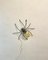 Italian Spider Wall Lamp in Copper and Iron and Art Glass, 1960s, Image 10