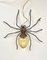Italian Spider Wall Lamp in Copper and Iron and Art Glass, 1960s 2