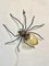 Italian Spider Wall Lamp in Copper and Iron and Art Glass, 1960s 11