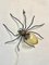 Italian Spider Wall Lamp in Copper and Iron and Art Glass, 1960s, Image 11
