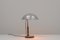 Lampada da scrivania Bauhaus in metallo nudo di Karl Trabert per Schanzenbach, Germania, anni '30, Immagine 2