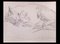 Giselle Halff, Sleeping Cat, Original Pencil Drawing, 1965 1