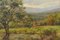 Paesaggio con alberi, XX secolo, Olio su tavola, Incorniciato, Immagine 4