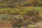 Paesaggio con alberi, XX secolo, Olio su tavola, Incorniciato, Immagine 5