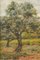 Paesaggio con alberi, XX secolo, Olio su tavola, Incorniciato, Immagine 3
