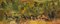 Paesaggio con alberi, XX secolo, Olio su tavola, Incorniciato, Immagine 6