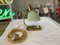Kleine Mid-Century Tischlampe aus Messing mit grünem Shrumblack 11
