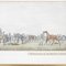 Victorian Horse Racing, 19th-Century, Etchings, Framed, Set of 2 8