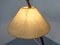 Austrian Dornstab Floor Lamp by A. Pöll for Jt Kalmar, 1950s 25