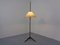 Austrian Dornstab Floor Lamp by A. Pöll for Jt Kalmar, 1950s 13