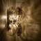 Chrome Wall Light Fixture with Clear & Smoked Glass by J.T. Kalmar 11