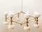 16 Light Brass Sputnik Chandelier with Oval Globes 17