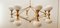 16 Light Brass Sputnik Chandelier with Oval Globes 6