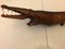 Large Hand-Carved Mahogany Crocodile Sculpture, 1970s 6