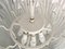 Lámpara de araña austriaca blanca de latón con hojas de cristal de hielo mate de JT Kalmar, 1960, Imagen 5