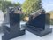 French Art Deco Sea Lions Bookends in Bronze and Marble, 1940 4