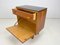 Small Cabinet or Bedside Table by Frantisek Mezulanik, 1960s 6