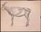 Die Ziege, Original Zeichnung, frühes 20. Jh 1