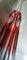 Bouteille Style Louis XVI en Cristal Rouge Taillé à la Main 11
