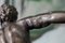 Estatuas Art Déco de bronce, años 30. Juego de 2, Imagen 12